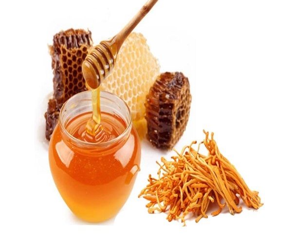 Uống đông trùng hạ thảo mật ong mỗi ngày có tốt không?
